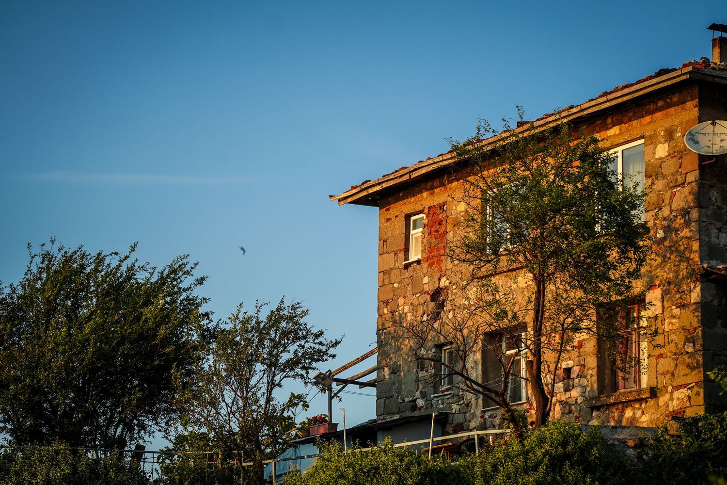 Maison ancienne et sa couverture sous la végétation