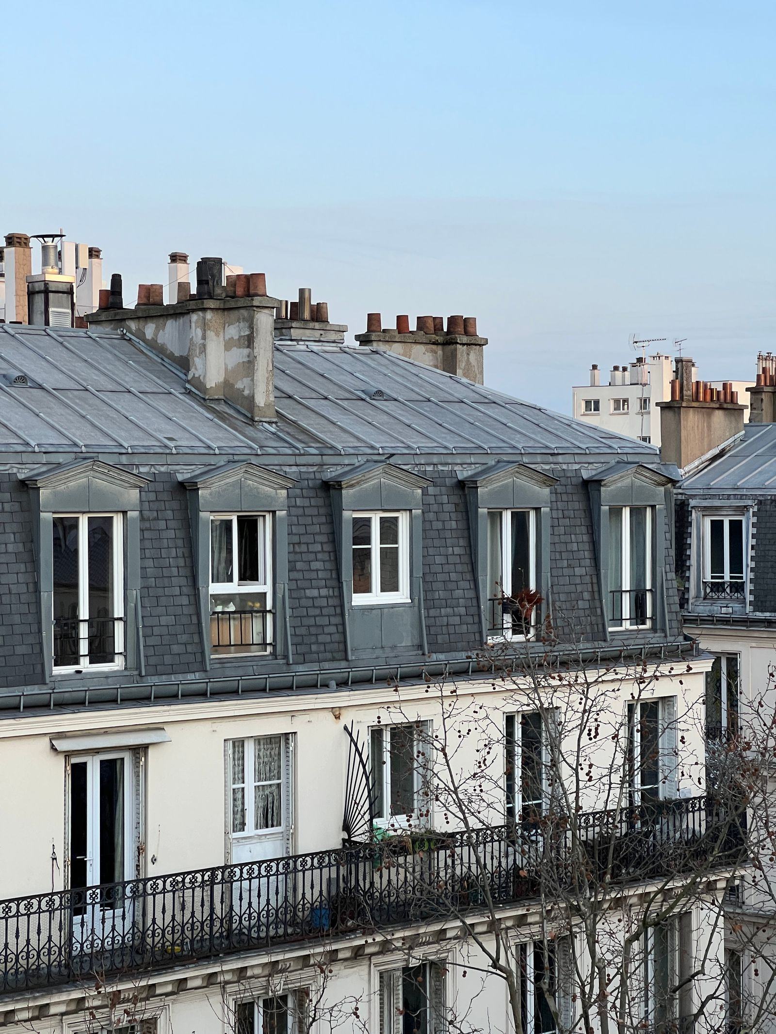 Toiture en zinc à lucarnes et souches de cheminée